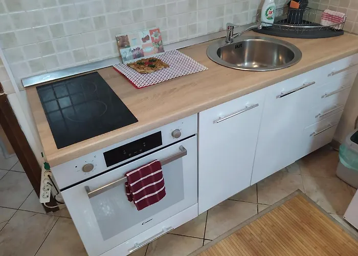 Central Fresh Apartment